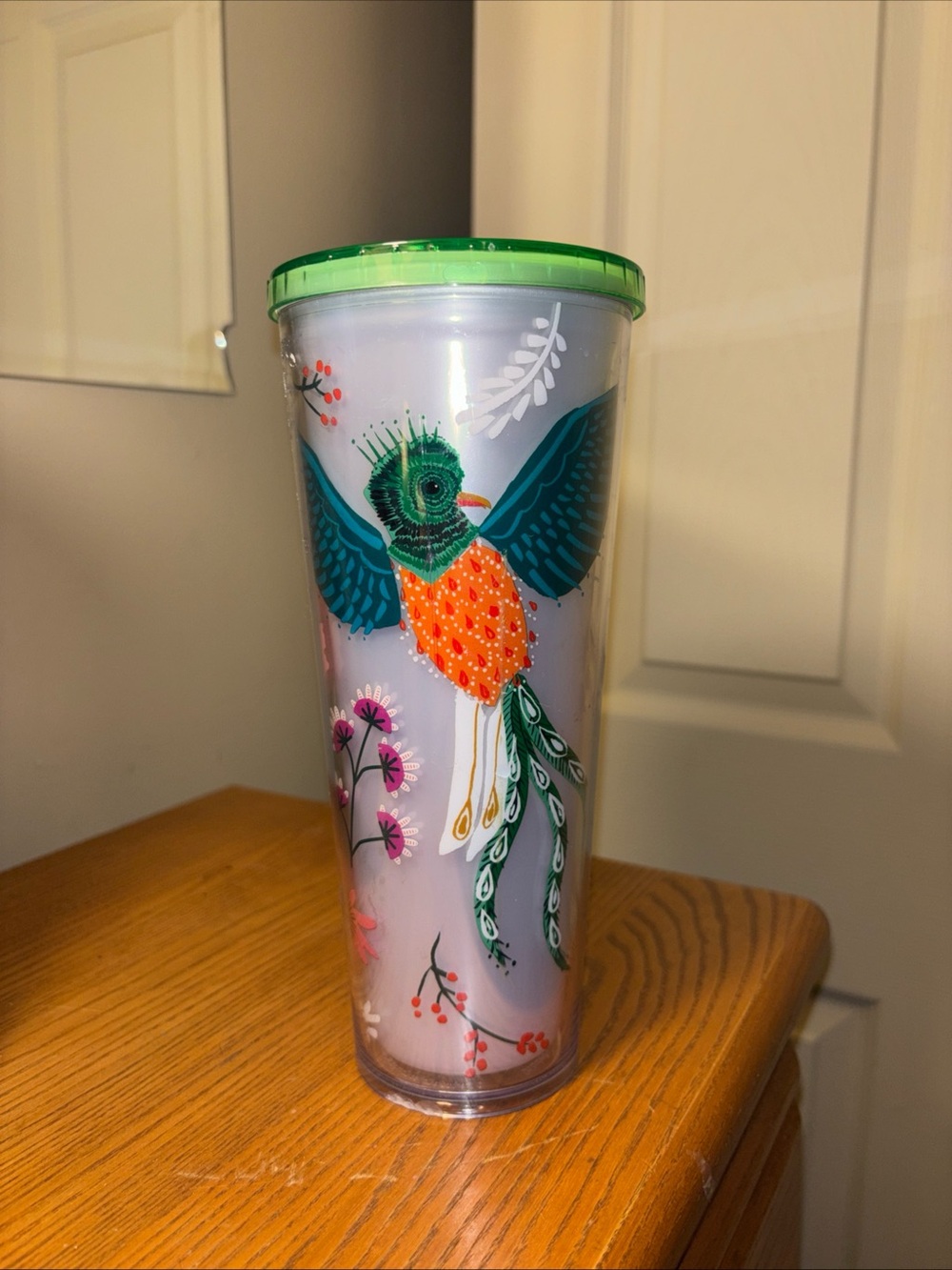 Starbucks Green Lid Tumbler with Teal, Orange, and Pink Bird Design